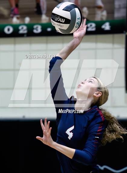 Thumbnail 1 in Perry @ Basha photogallery.