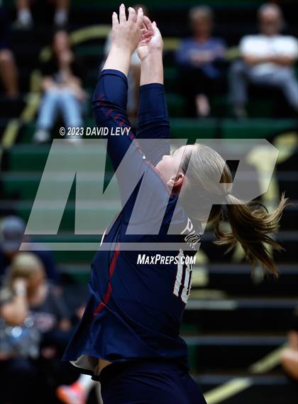 Thumbnail 2 in Perry @ Basha photogallery.