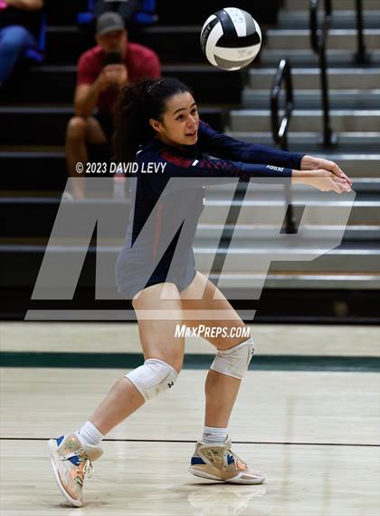 Thumbnail 1 in Perry @ Basha photogallery.