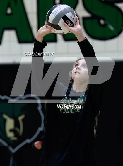 Thumbnail 1 in Perry @ Basha photogallery.