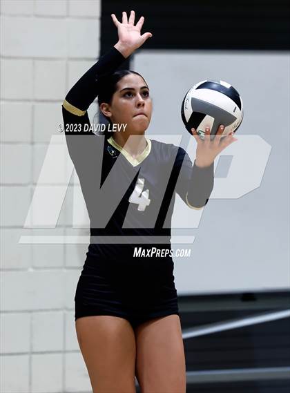 Thumbnail 1 in Perry @ Basha photogallery.