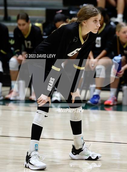 Thumbnail 1 in Perry @ Basha photogallery.
