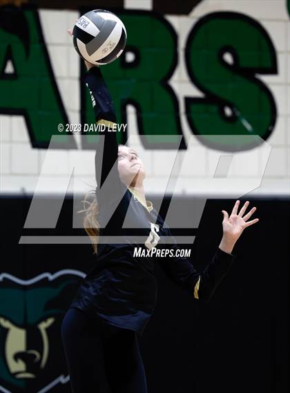 Thumbnail 3 in Perry @ Basha photogallery.