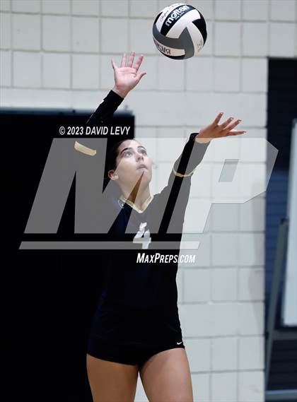 Thumbnail 1 in Perry @ Basha photogallery.