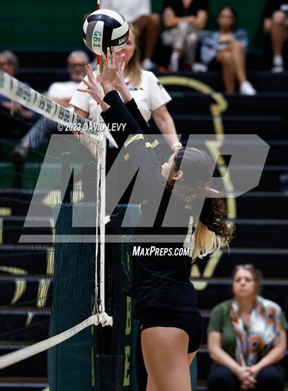 Thumbnail 1 in Perry @ Basha photogallery.