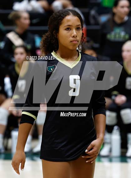 Thumbnail 3 in Perry @ Basha photogallery.
