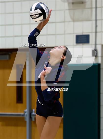 Thumbnail 2 in Perry @ Basha photogallery.