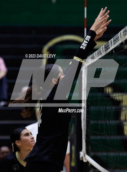 Thumbnail 1 in Perry @ Basha photogallery.