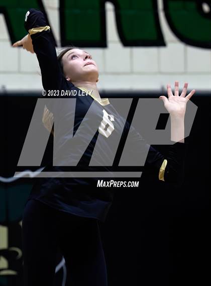 Thumbnail 3 in Perry @ Basha photogallery.