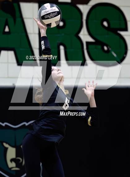 Thumbnail 1 in Perry @ Basha photogallery.