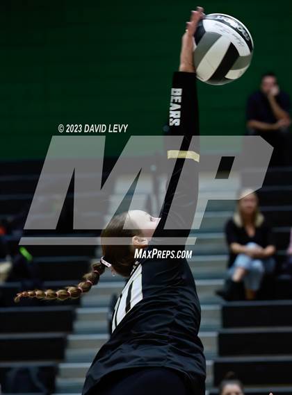 Thumbnail 1 in Perry @ Basha photogallery.