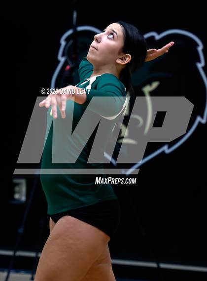 Thumbnail 1 in Perry @ Basha photogallery.