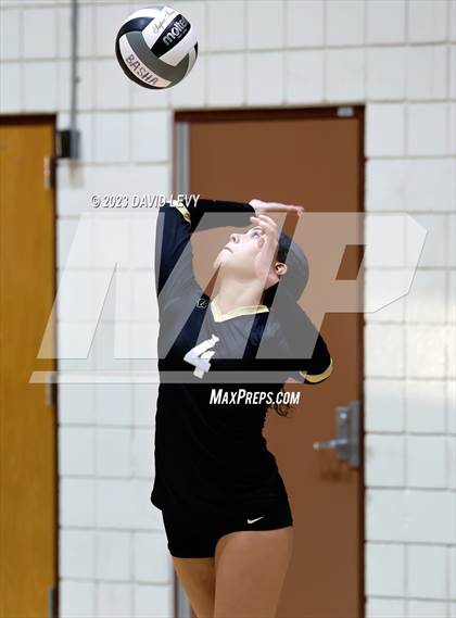 Thumbnail 1 in Perry @ Basha photogallery.
