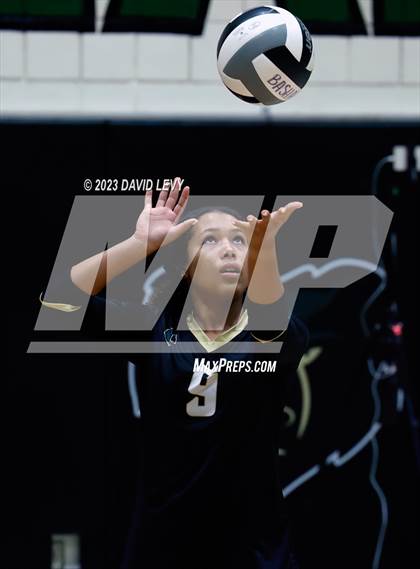 Thumbnail 1 in Perry @ Basha photogallery.