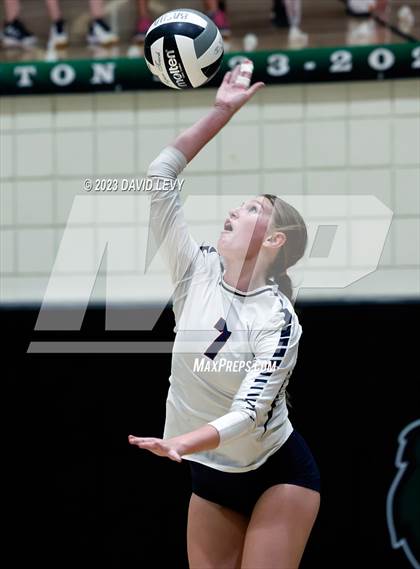 Thumbnail 3 in Perry @ Basha photogallery.