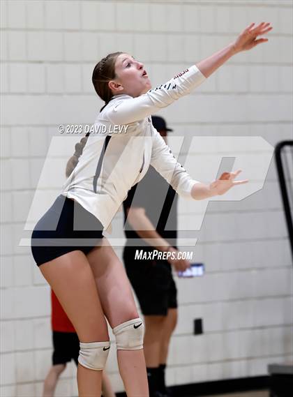 Thumbnail 2 in Perry @ Basha photogallery.