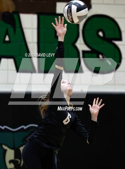 Thumbnail 1 in Perry @ Basha photogallery.