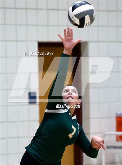 Thumbnail 3 in Perry @ Basha photogallery.