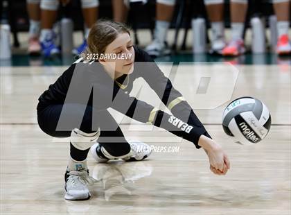 Thumbnail 2 in Perry @ Basha photogallery.