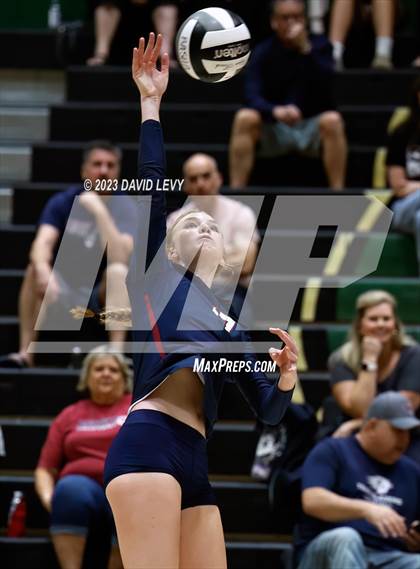 Thumbnail 3 in Perry @ Basha photogallery.