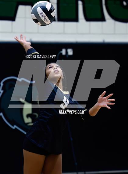 Thumbnail 2 in Perry @ Basha photogallery.