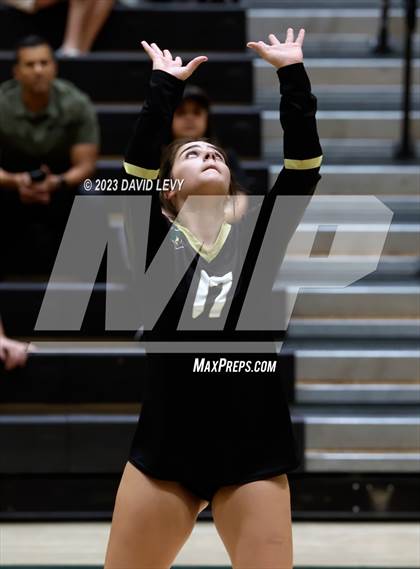 Thumbnail 3 in Perry @ Basha photogallery.