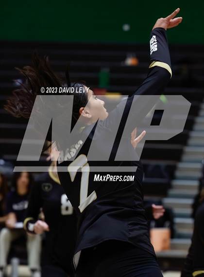 Thumbnail 1 in Perry @ Basha photogallery.