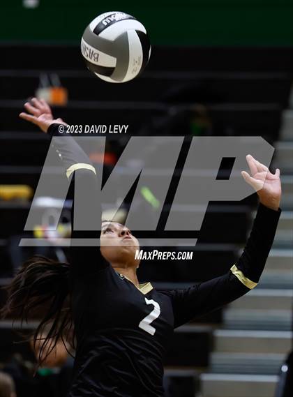 Thumbnail 2 in Perry @ Basha photogallery.