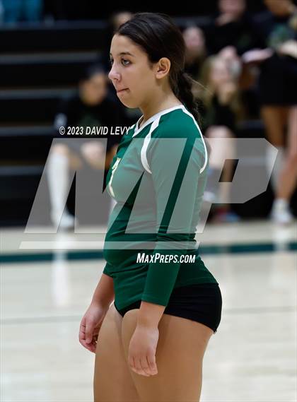 Thumbnail 1 in Perry @ Basha photogallery.
