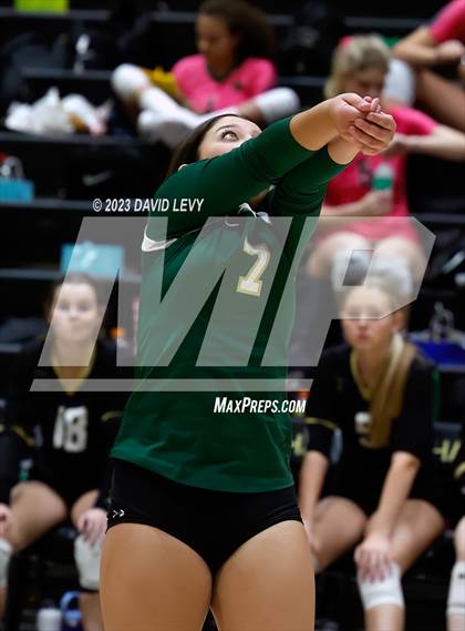 Thumbnail 3 in Perry @ Basha photogallery.