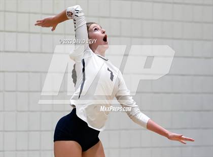 Thumbnail 1 in Perry @ Basha photogallery.