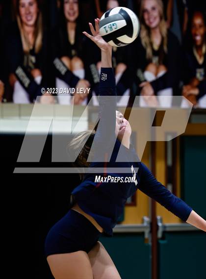 Thumbnail 1 in Perry @ Basha photogallery.