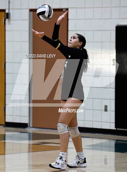 Thumbnail 3 in Perry @ Basha photogallery.