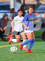 Photo from the gallery "James Logan @ Newark Memorial"