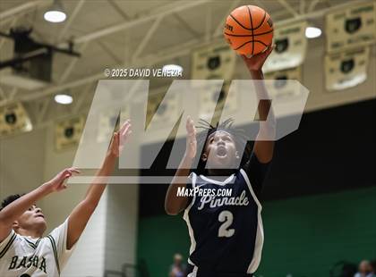 Thumbnail 3 in JV: Pinnacle @ Basha photogallery.