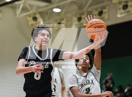 Thumbnail 2 in JV: Pinnacle @ Basha photogallery.