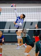 Photo from the gallery "Wheatland @ Twelve Bridges"