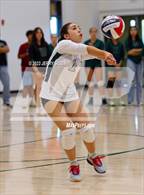 Photo from the gallery "Wheatland @ Twelve Bridges"