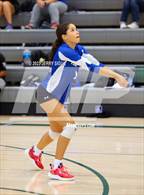 Photo from the gallery "Wheatland @ Twelve Bridges"