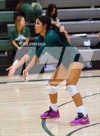 Photo from the gallery "Wheatland @ Twelve Bridges"