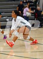 Photo from the gallery "Wheatland @ Twelve Bridges"