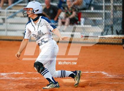 Thumbnail 1 in Lemon Bay @ Parrish Community photogallery.