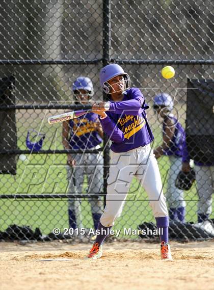 Thumbnail 3 in Monsignor McClancy @ Bishop Loughlin photogallery.