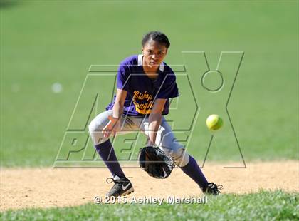Thumbnail 2 in Monsignor McClancy @ Bishop Loughlin photogallery.