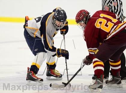 Thumbnail 3 in Sheehan @ Housatonic/Northwestern photogallery.