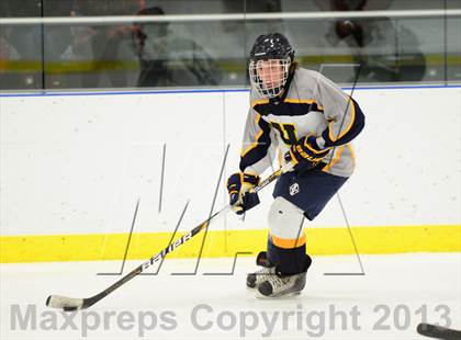 Thumbnail 1 in Sheehan @ Housatonic/Northwestern photogallery.