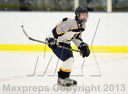 Thumbnail 1 in Sheehan @ Housatonic/Northwestern photogallery.