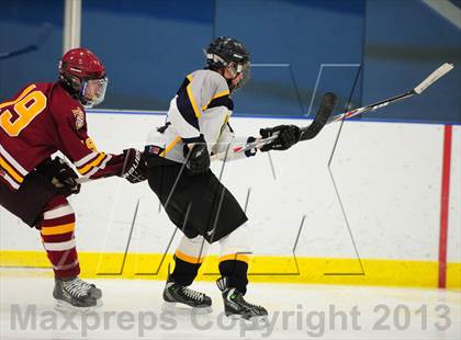 Thumbnail 1 in Sheehan @ Housatonic/Northwestern photogallery.