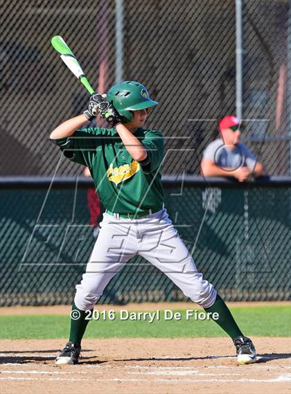 Thumbnail 3 in Live Oak @ Westmont photogallery.