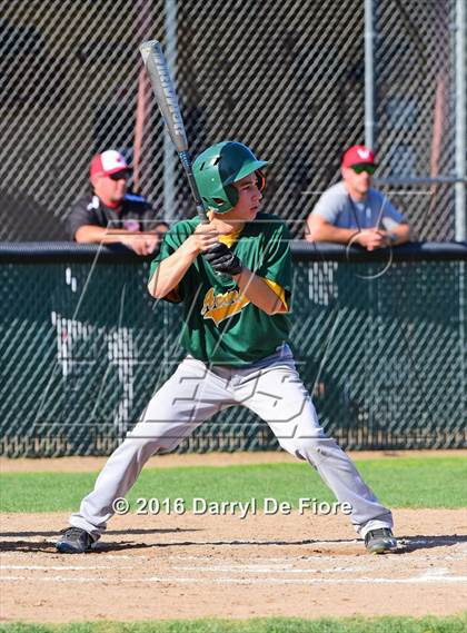 Thumbnail 3 in Live Oak @ Westmont photogallery.